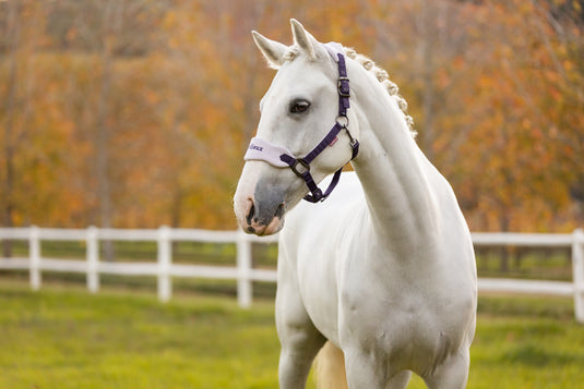 AW25 LM Vogue Headcollar & Leadrope Juniper