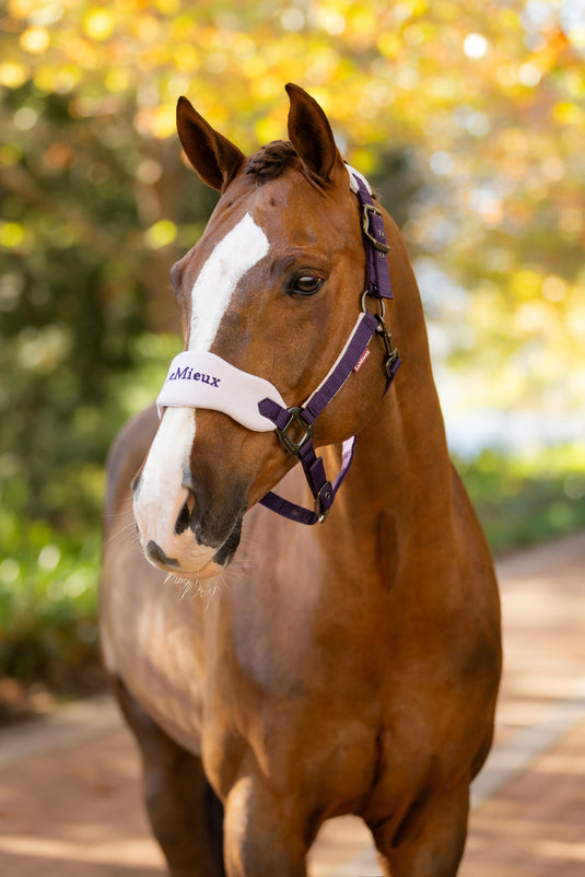 AW25 LM Vogue Headcollar & Leadrope Juniper