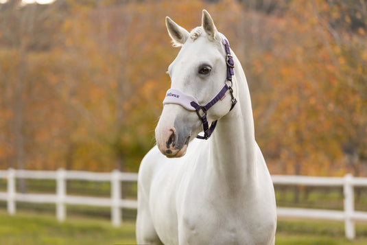 AW25 LM Vogue Headcollar & Leadrope Juniper