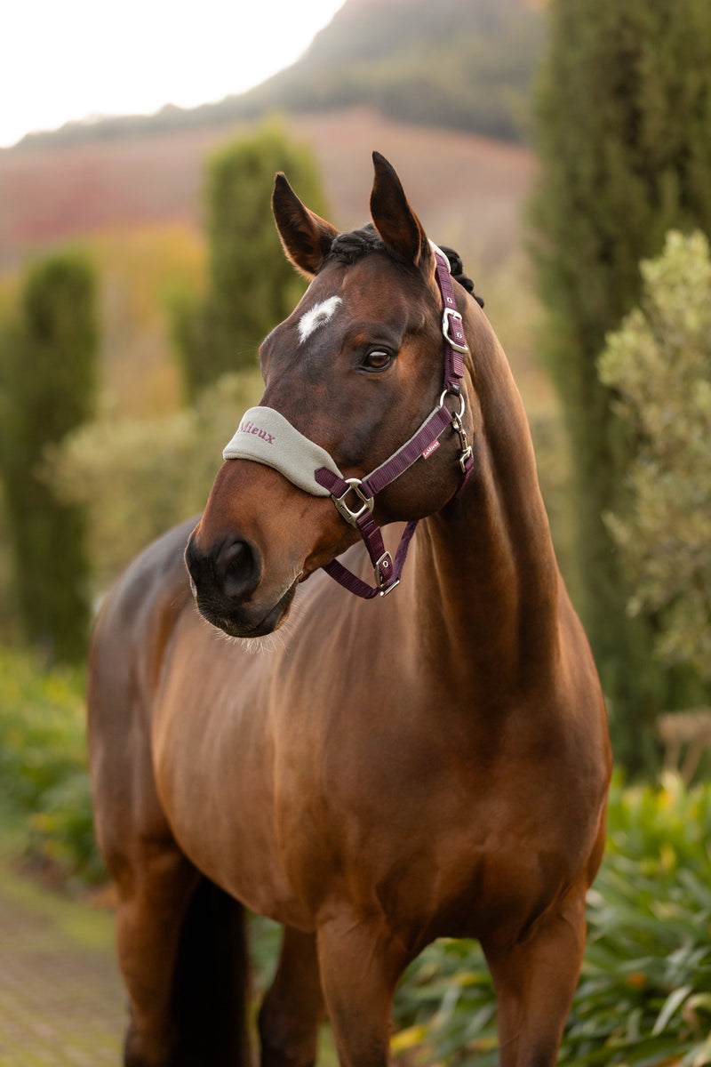 Indlæs billede i Gallery Viewer, AW25 LM Vogue Headcollar &amp; Leadrope Damson
