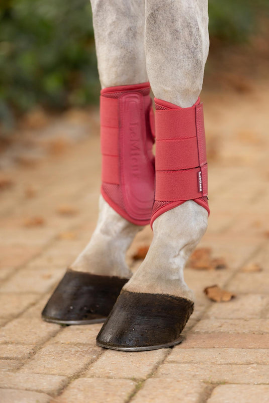 AW25 LM Arika Mesh Brushing Boots Cranberry