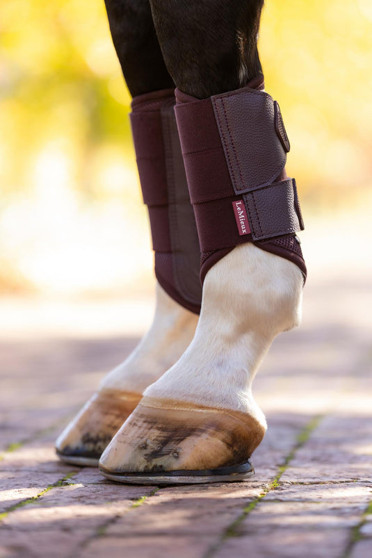AW25 LM Arika Mesh Brushing Boots Damson