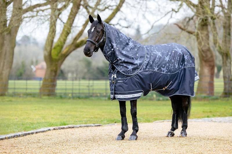 Indlæs billede i Gallery Viewer, AW25 LM Arika Star 200g Turnout Rug Navy
