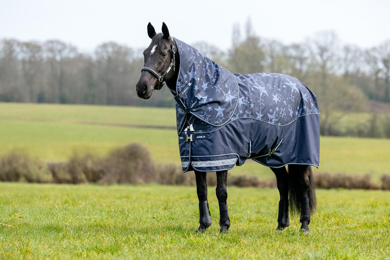 Indlæs billede i Gallery Viewer, AW25 LM Arika Star 200g Turnout Rug Navy
