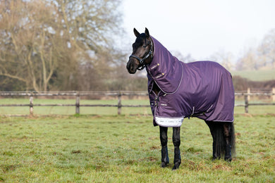 AW25 LM Arika Ripstop 0g Turnout Rug Juniper