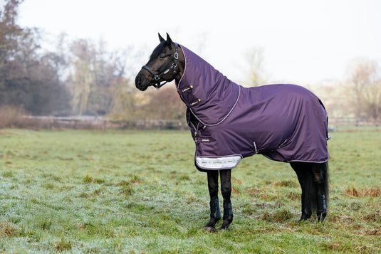AW25 LM Arika Ripstop 0g Turnout Rug Juniper