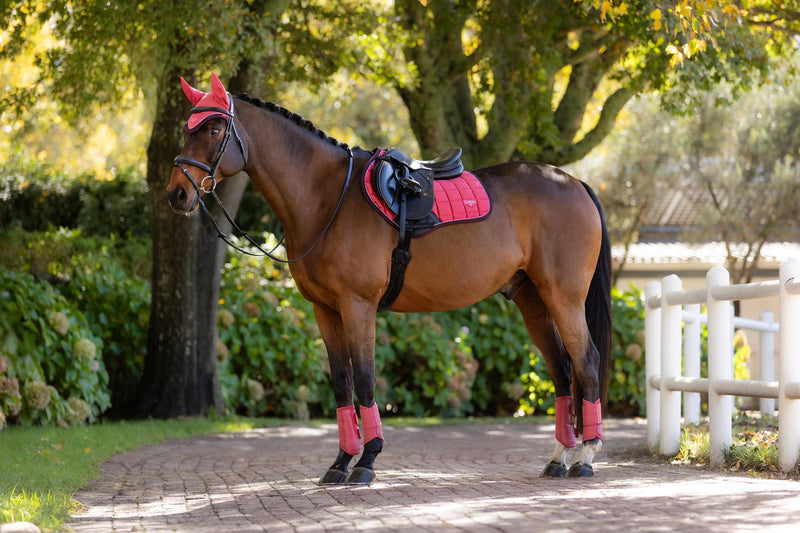 Indlæs billede i Gallery Viewer, AW25 LM Loire Classic Close Contact Square Cranberry
