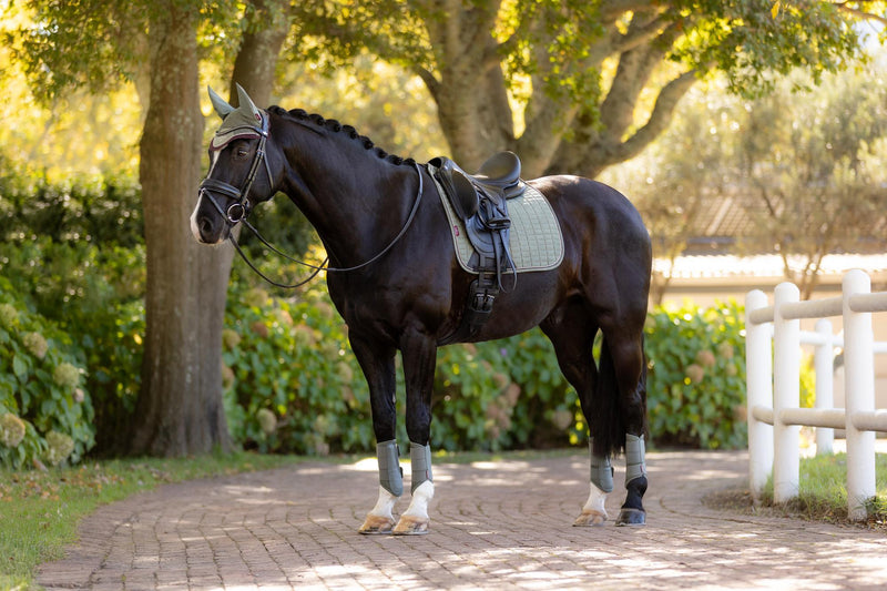 Indlæs billede i Gallery Viewer, AW25 LM Suede Dressage Square Rosemary
