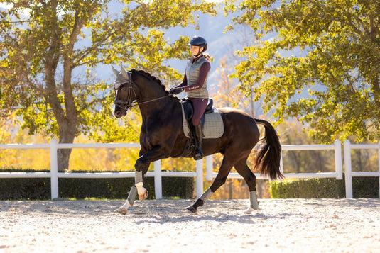 AW25 LM Suede Dressage Square Rosemary