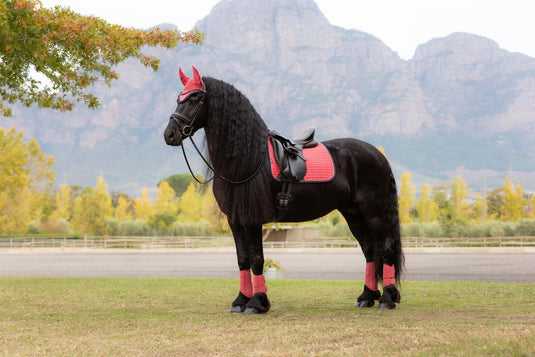 AW25 LM Suede Dressage Square Cranberry