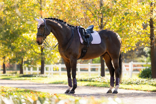 AW25 LM Suede Dressage Square Lilac