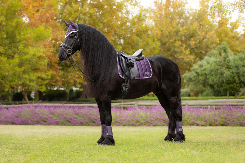 Indlæs billede i Gallery Viewer, AW25 LM Loire Classic Dressage Square Juniper
