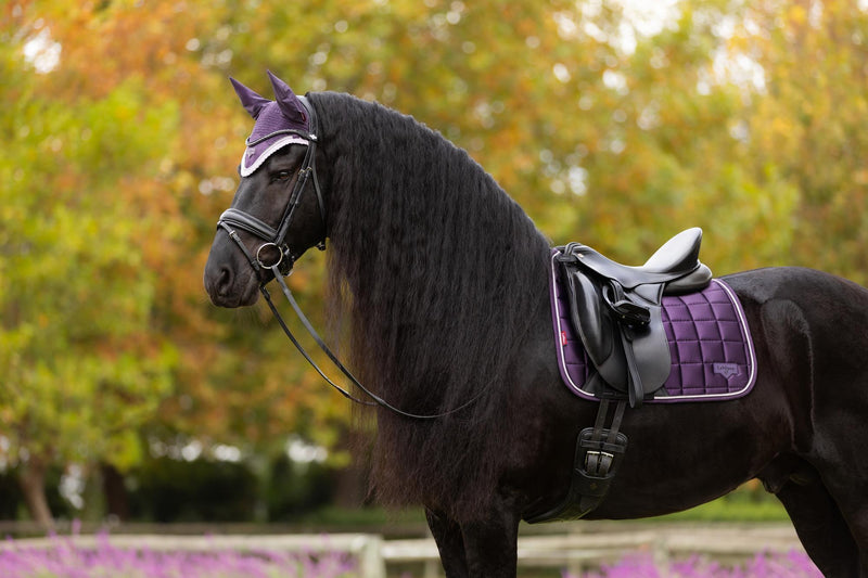 Indlæs billede i Gallery Viewer, AW25 LM Loire Classic Dressage Square Juniper
