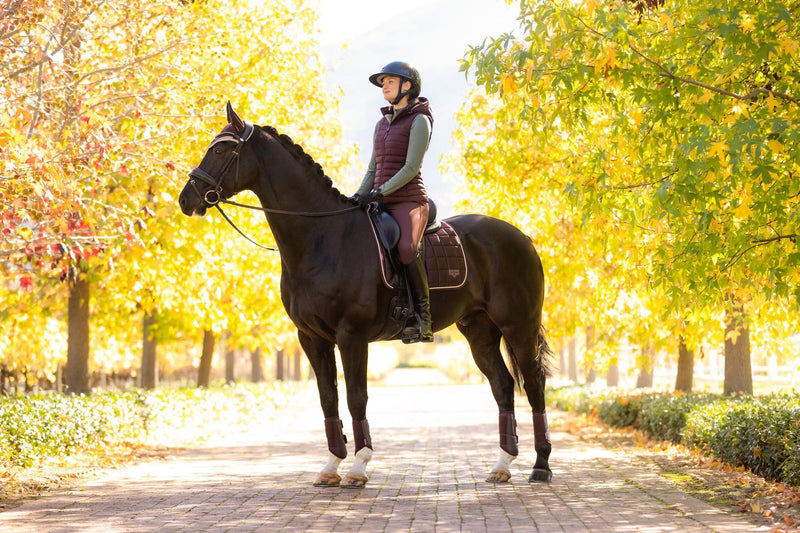 Indlæs billede i Gallery Viewer, AW25 LM Loire Classic Dressage Square Damson
