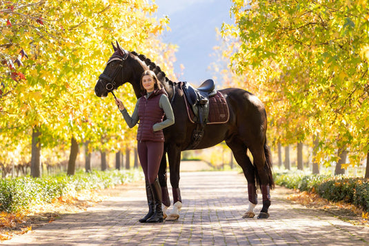AW25 LM Loire Classic Dressage Square Damson
