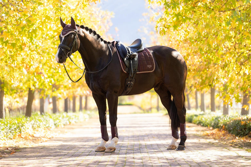 Indlæs billede i Gallery Viewer, AW25 LM Loire Classic Dressage Square Damson
