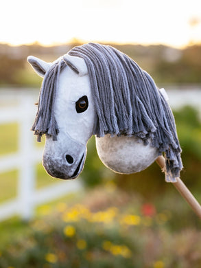 AW25 LM Hobby Horse Earl