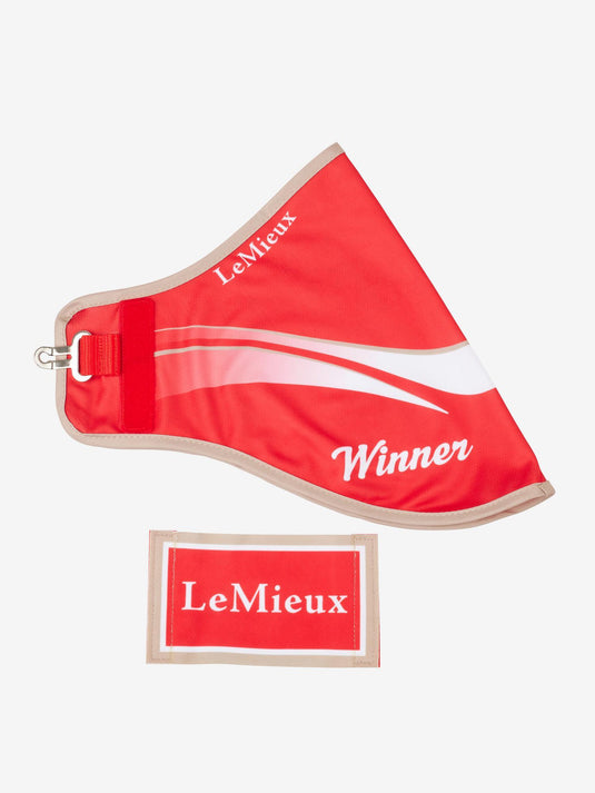 LM Hobby Horse Winners Rug Red