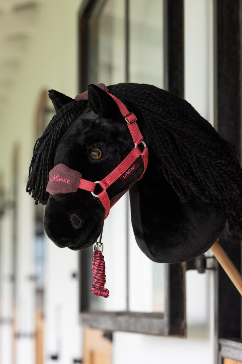 Indlæs billede i Gallery Viewer, AW25 LM Hobby Horse Vogue Headcollar &amp; Leadrope Cranberry
