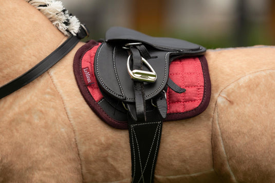 AW25 LM Toy Pony Pad Cranberry