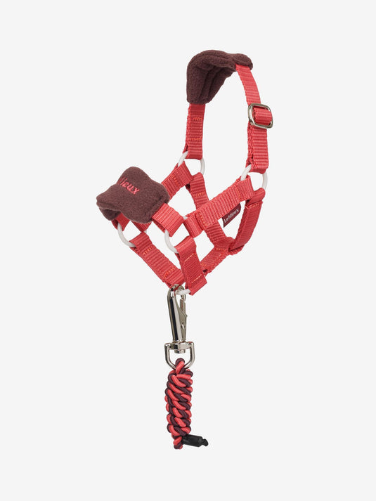 AW25 LM Toy Pony Vogue Headcollar & Leadrope Cranberry