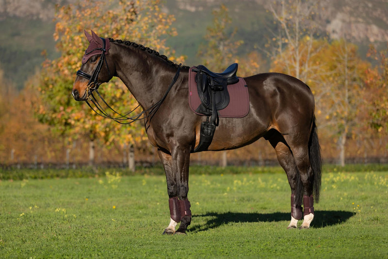 Indlæs billede i Gallery Viewer, AW25 LM Essence Dressage Square Damson
