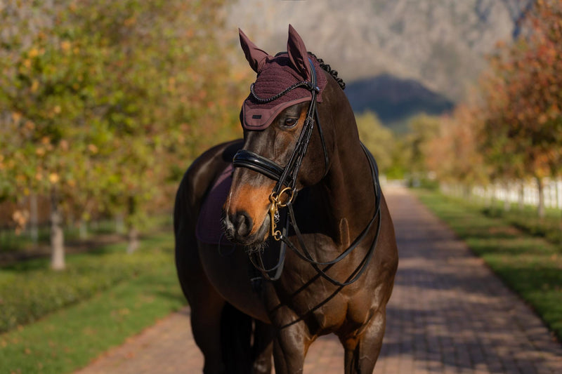 Indlæs billede i Gallery Viewer, AW25 LM Essence Acoustic Fly Hood Damson
