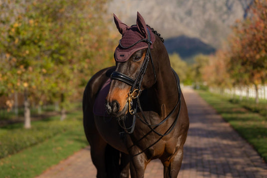 AW25 LM Essence Acoustic Fly Hood Damson