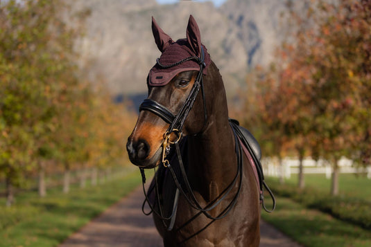 AW25 LM Essence Fly Hood Damson
