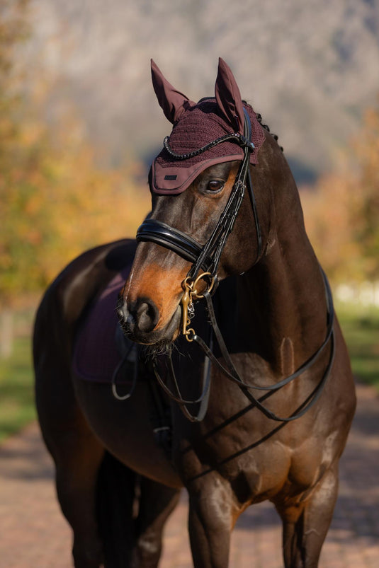 AW25 LM Essence Acoustic Fly Hood Damson