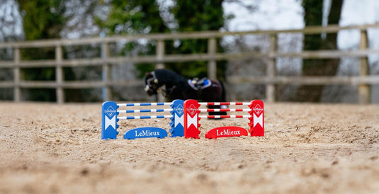 AW25 LM Toy Pony Jump Set Benetton/Chilli/White