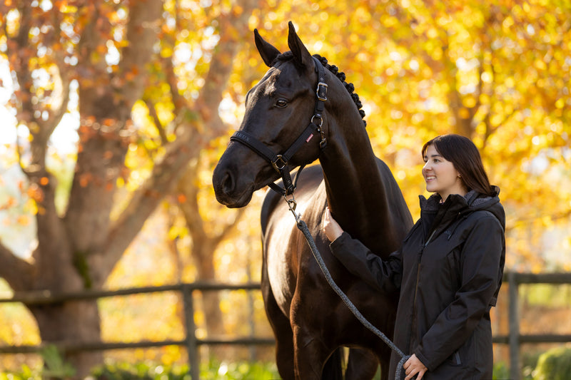 Indlæs billede i Gallery Viewer, AW25 LM Essence Headcollar Black
