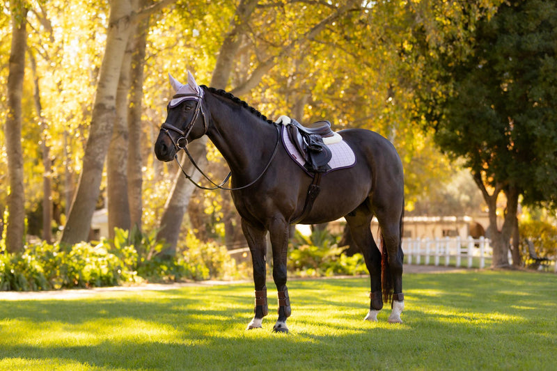 Indlæs billede i Gallery Viewer, SS26 Merino+ Suede Close Contact Square Fondant
