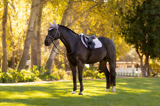 SS26 Merino+ Suede Close Contact Square Fondant