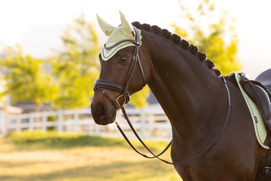 SS26 Classic Fly Hood Macaron