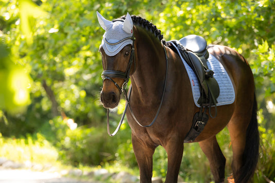 SS26 Classic Fly Hood Powder Blue
