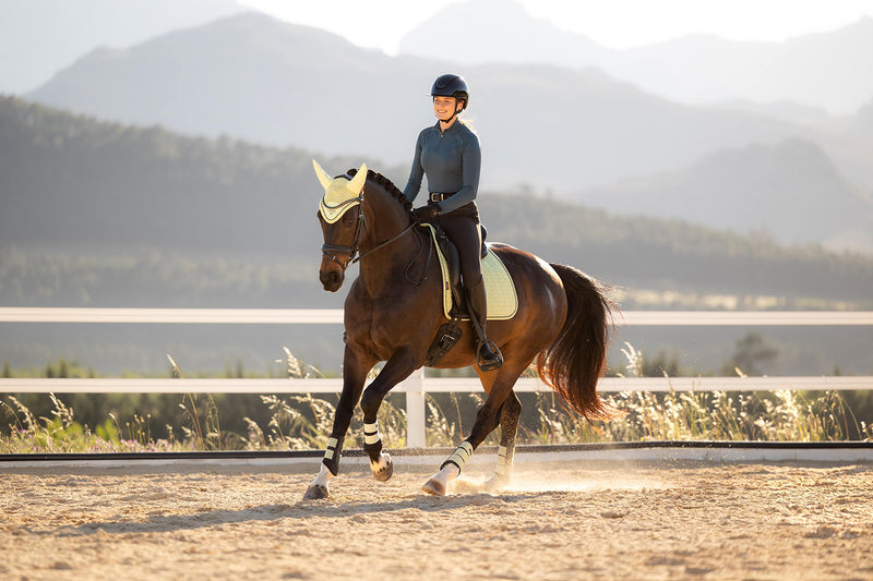 Indlæs billede i Gallery Viewer, SS26 Suede Dressage Square Macaron
