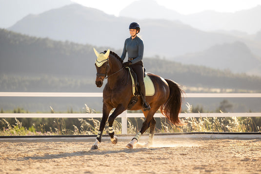 SS26 Suede Dressage Square Macaron