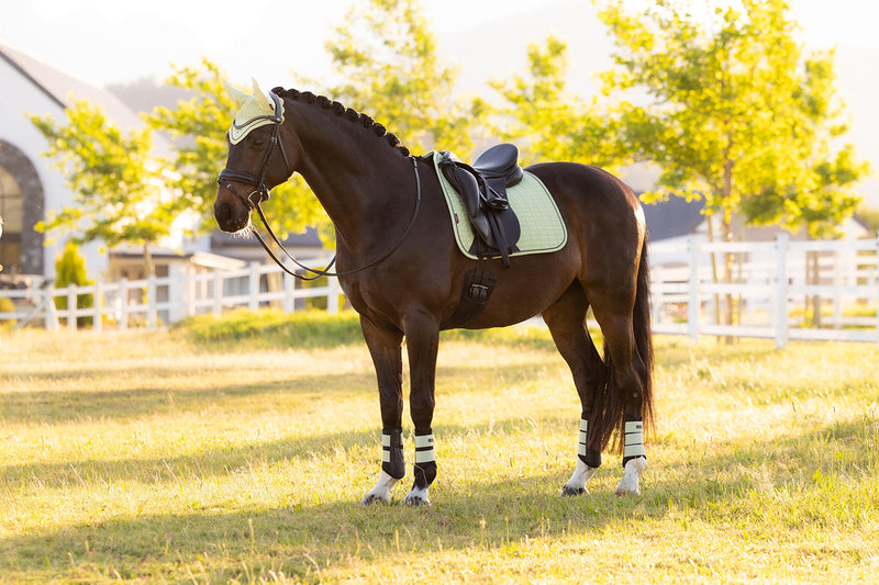 Indlæs billede i Gallery Viewer, SS26 Suede Dressage Square Macaron
