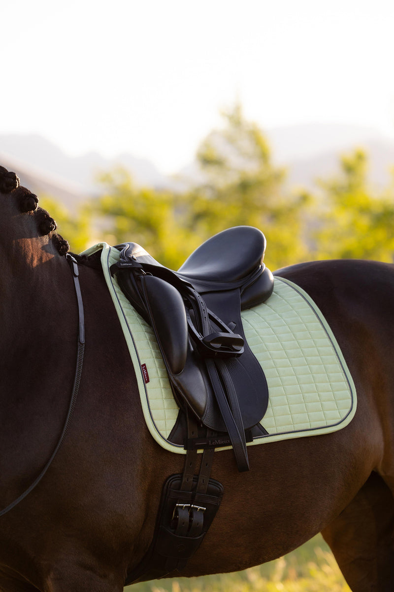 Indlæs billede i Gallery Viewer, SS26 Suede Dressage Square Macaron
