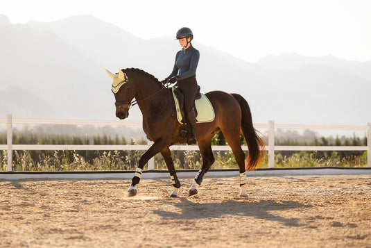 SS26 Suede Dressage Square Macaron