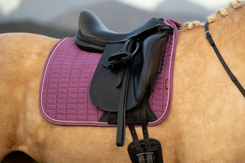 Indlæs billede i Gallery Viewer, SS26 Suede Dressage Square Mallow
