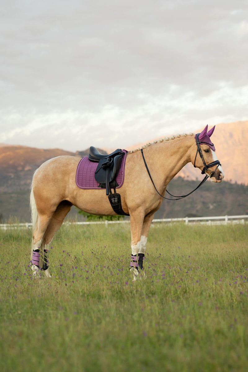 Indlæs billede i Gallery Viewer, SS26 Suede Dressage Square Mallow
