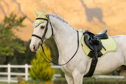 SS26 Suede Close Contact Square Macaron