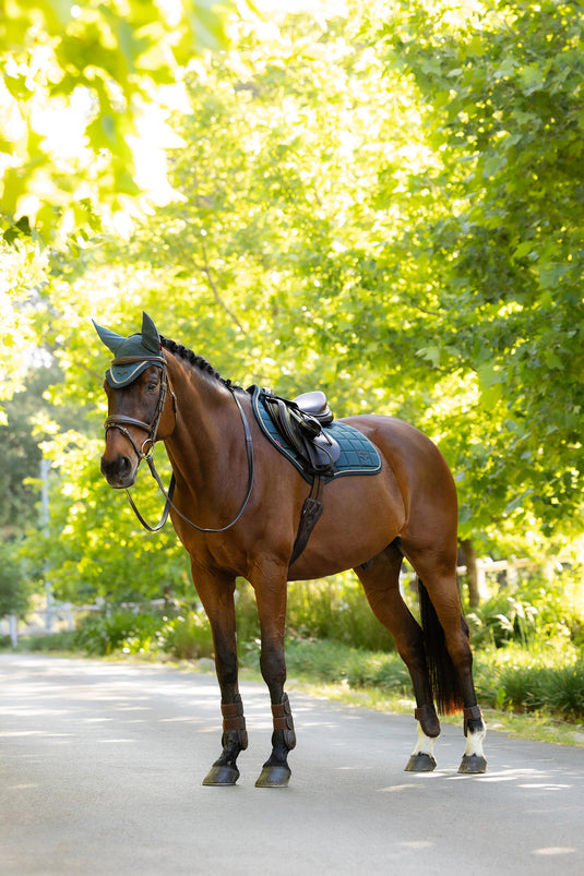 SS26 Loire Classic Close Contact Square Jungle