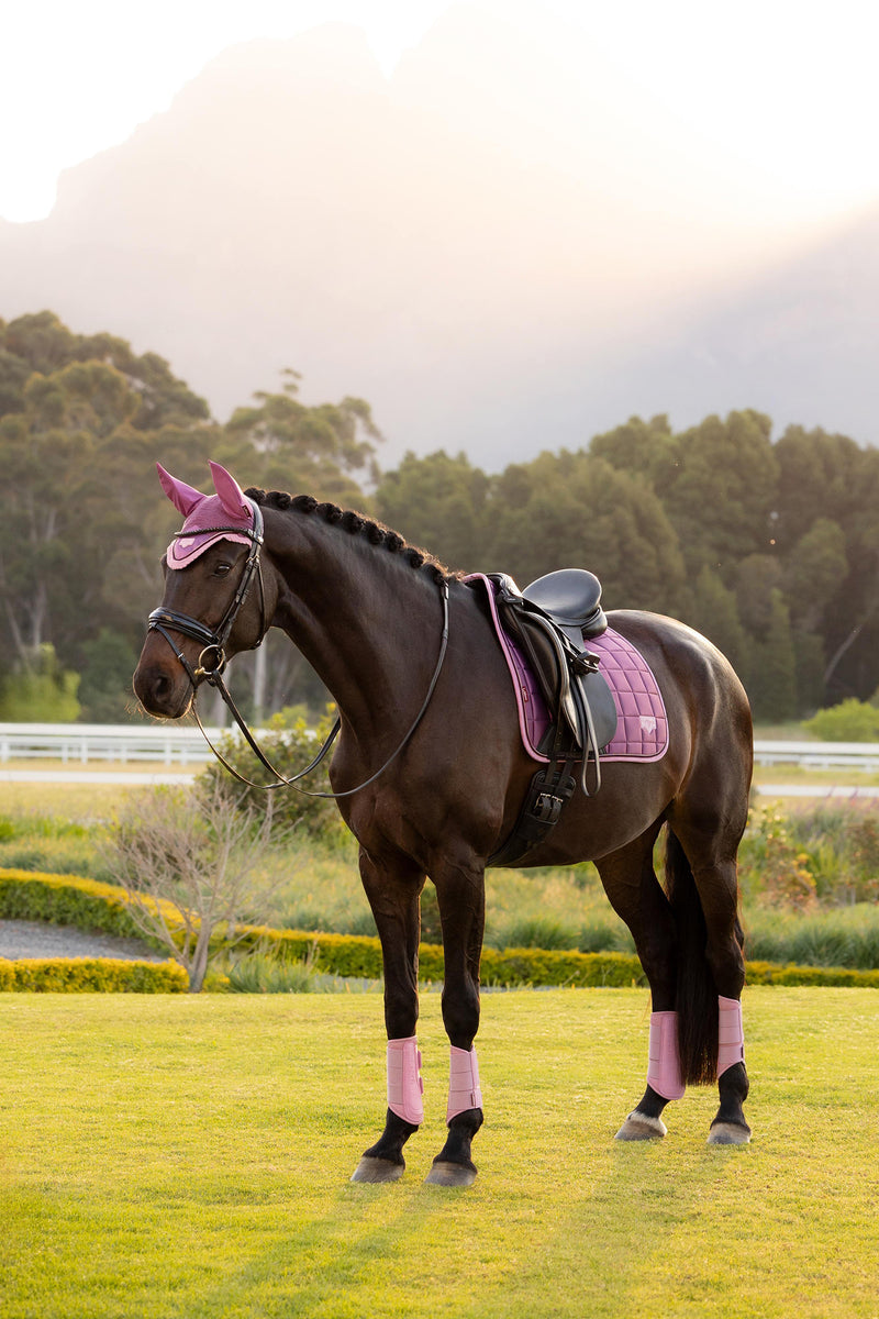 Indlæs billede i Gallery Viewer, SS26 Loire Classic Dressage Square Mallow
