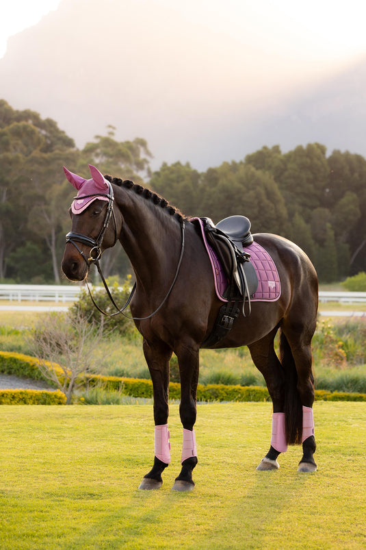 SS26 Loire Classic Dressage Square Mallow