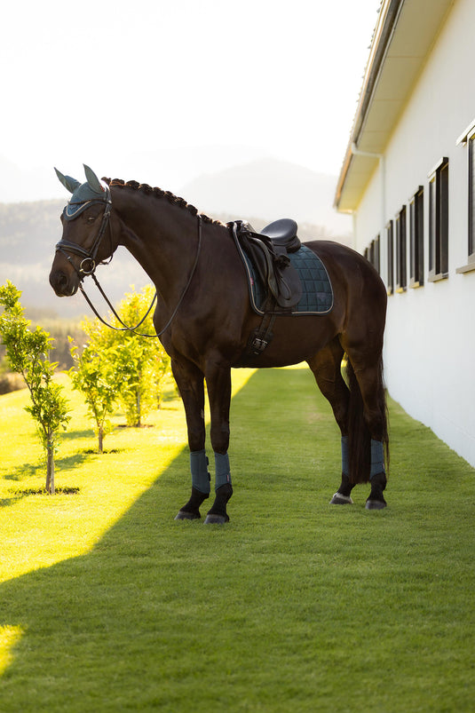 SS26 Loire Classic Dressage Square Jungle