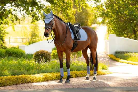 SS26 Essence Dressage Square Powder Blue