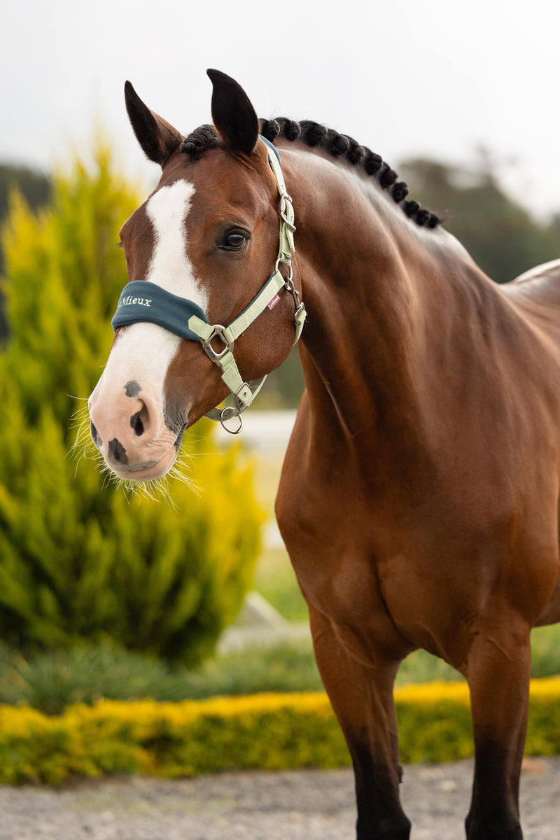 Indlæs billede i Gallery Viewer, SS26 Vogue Headcollar &amp; Leadrope Macaron
